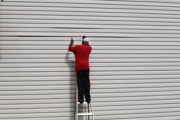 Best Siding Removal and Disposal  in Piney Mountain, VA